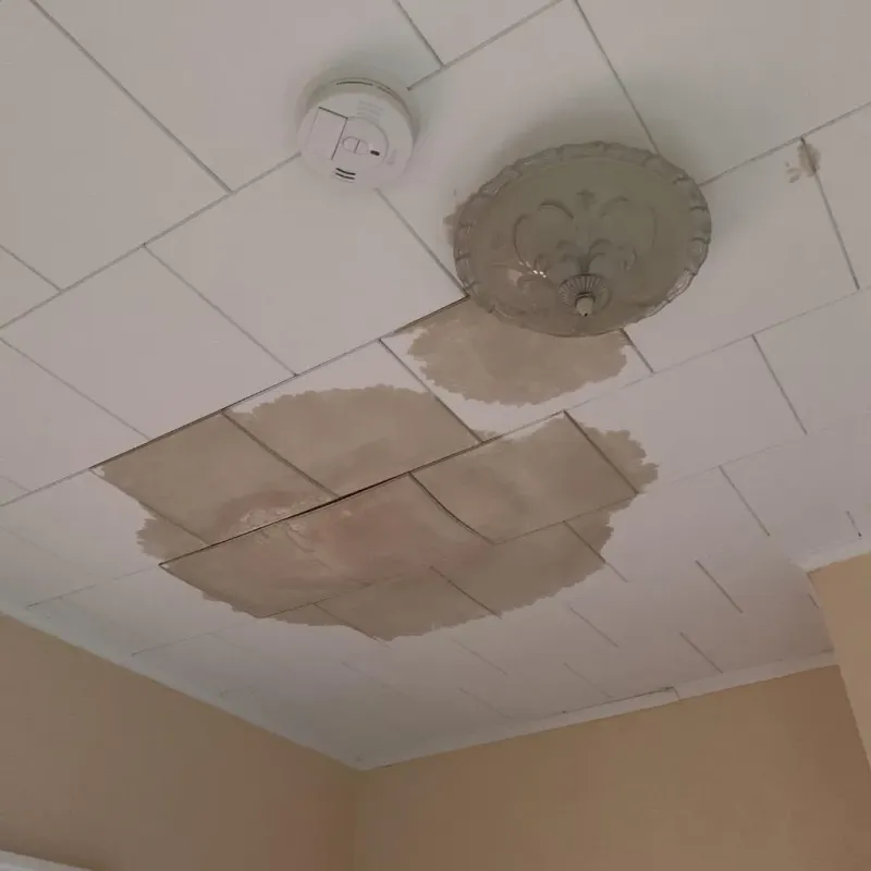 Ceiling Water Damage Repair in Blue Ball, PA